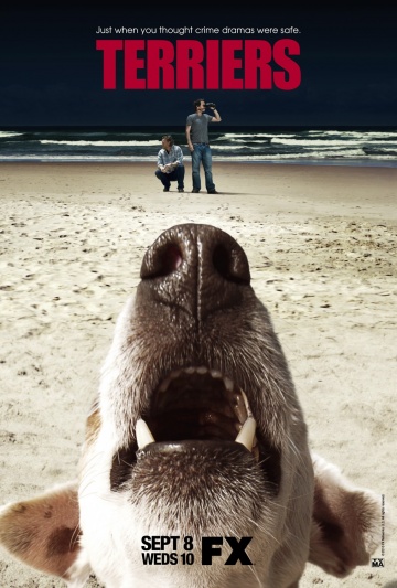 ტერიერები / Terriers