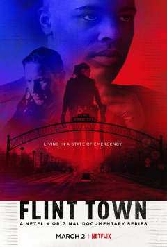 ქალაქი ფლინტი / Flint Town
