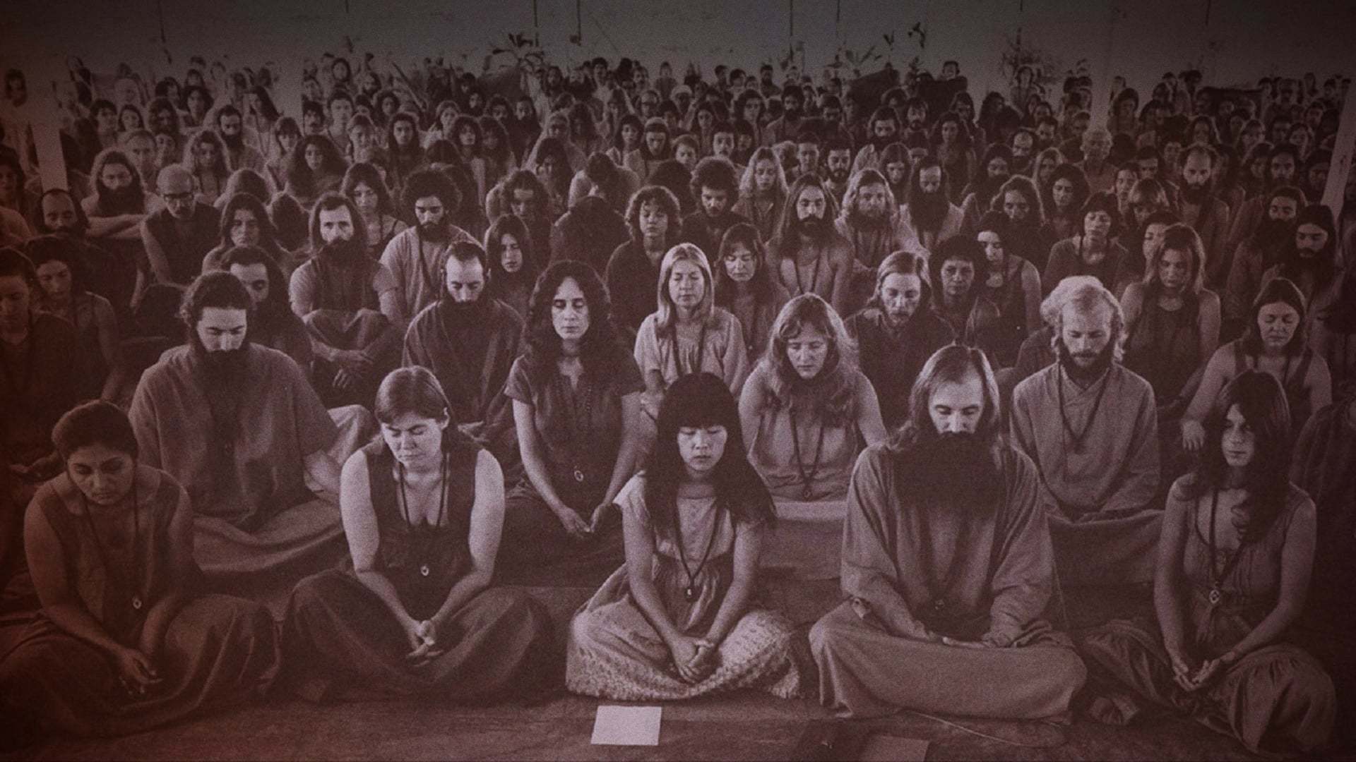 ველური ველური ქვეყანა / Wild Wild Country