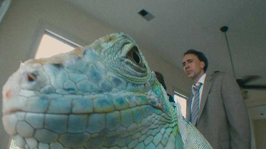 ცუდი ლეიტენანტი / Bad Lieutenant: Port of Call New Orleans