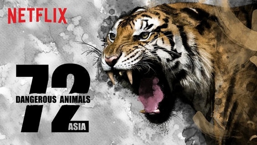 72 სახიფათო ცხოველი - აზია / 72 Dangerous Animals - Asia
