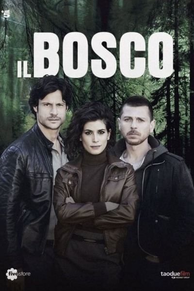 ხის / Il bosco