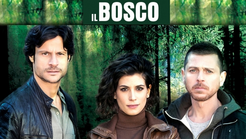 ხის / Il bosco