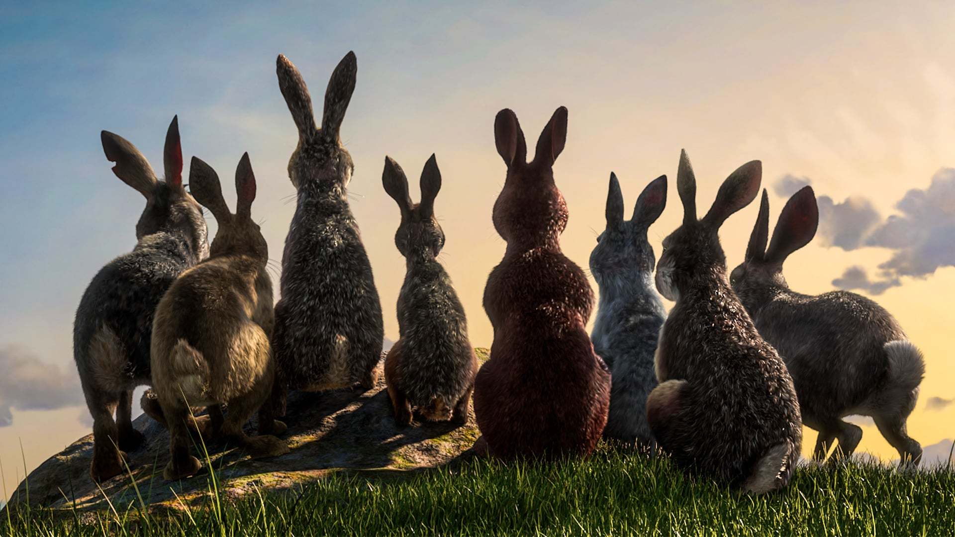 ბორცვების ბინადარნი / Watership Down