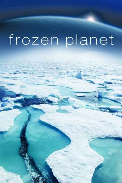 გაყინული პლანეტა / Frozen Planet