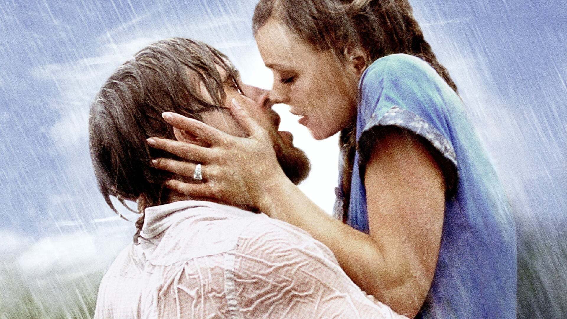 უბის წიგნაკი / The Notebook