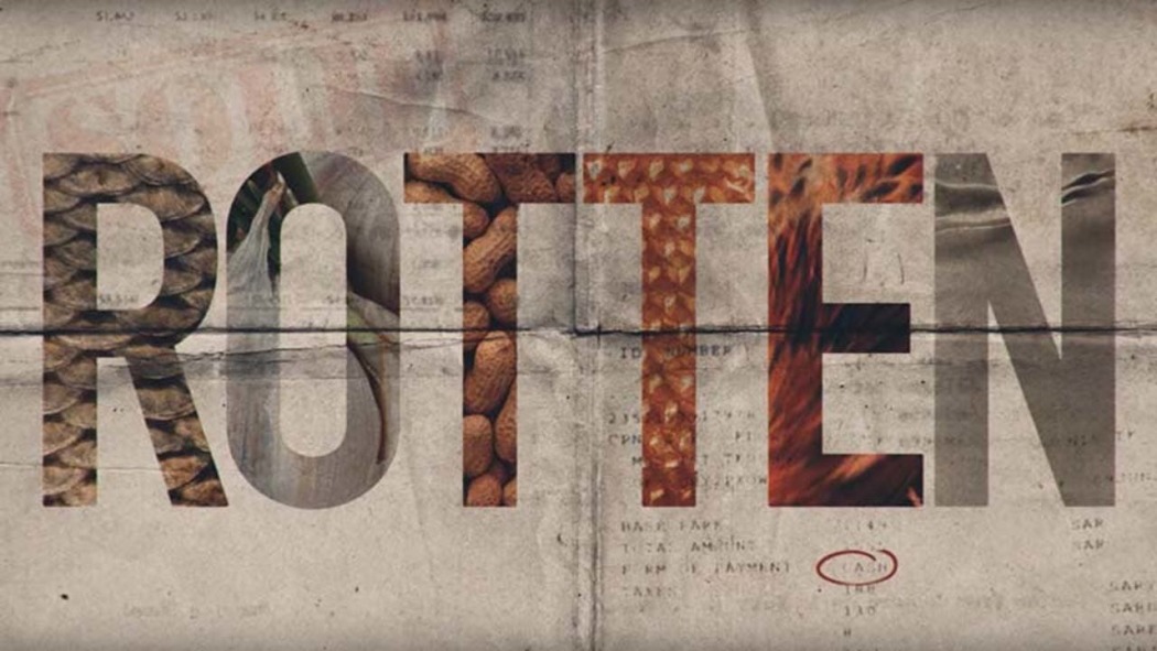 უვარგისი პროდუქტები / Rotten