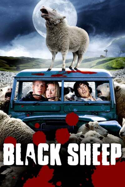 შავი ცხვარი / Black Sheep