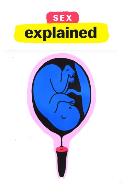 Sex, Explained / Чтобы вы поняли... секс