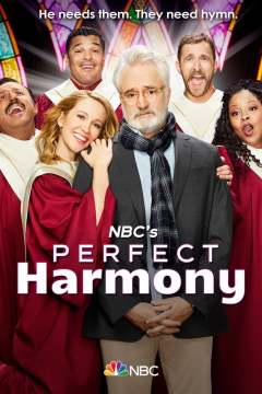 იდეალური ჰარმონია / Perfect Harmony