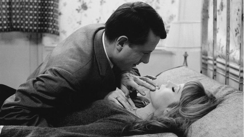 ნაზი კანი / The Soft Skin