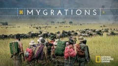 მიგრაციები / Mygrations