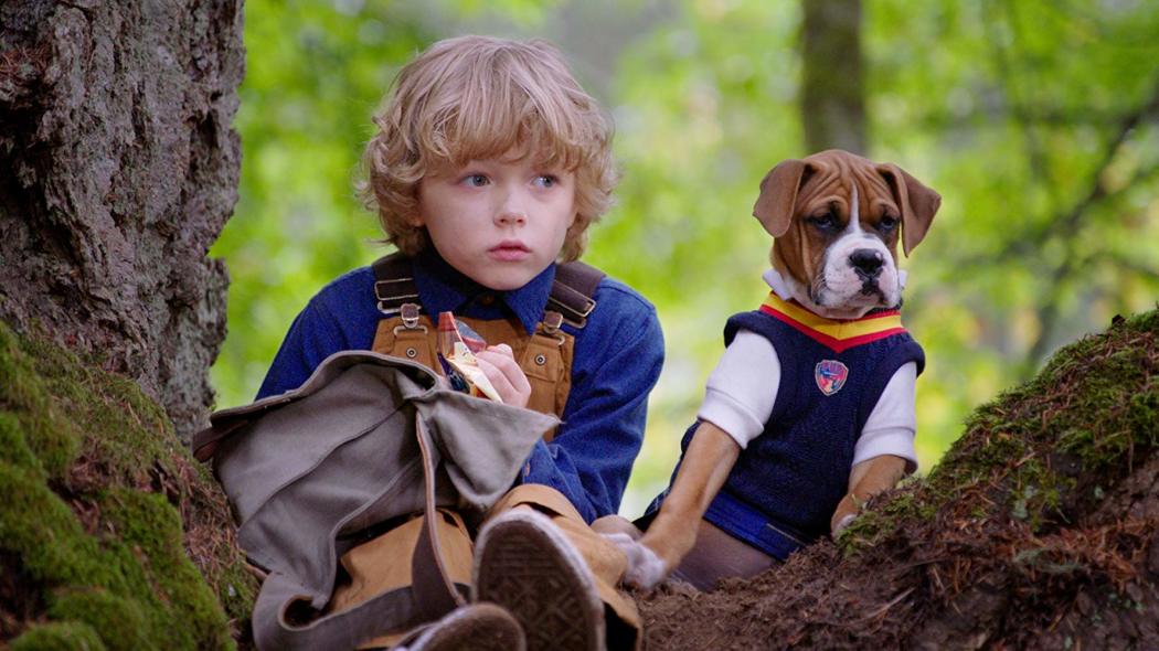 Pup Academy