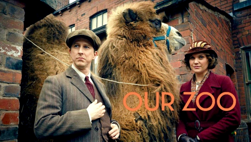 ჩვენი ზოოპარკი / Our Zoo