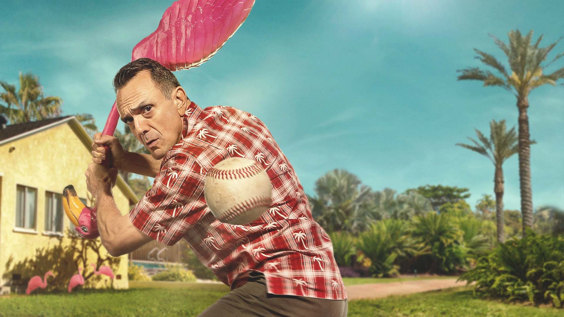ბრუკმაირი / Brockmire