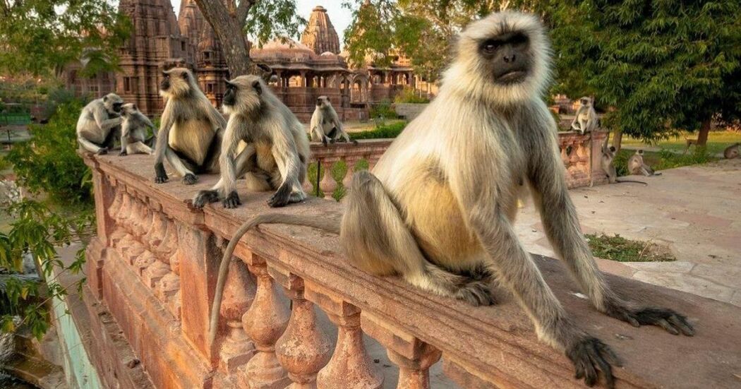 Hidden India