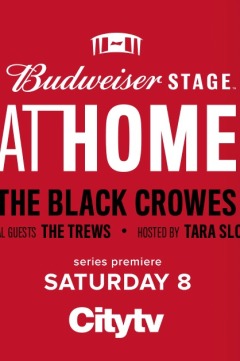 Budweiser Stage at Home