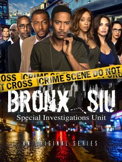 Bronx SIU / Бронкс: отдел спецрасследований