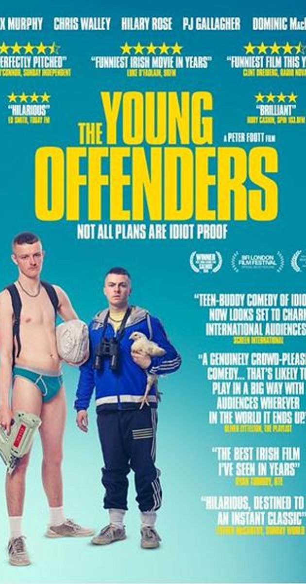 ახალგაზრდა დამნაშავეები / The Young Offenders