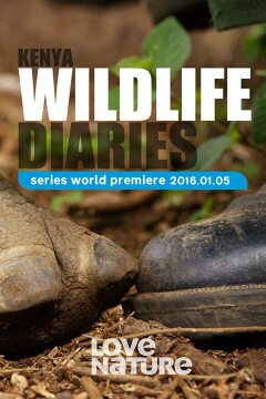 Kenya Wildlife Diaries