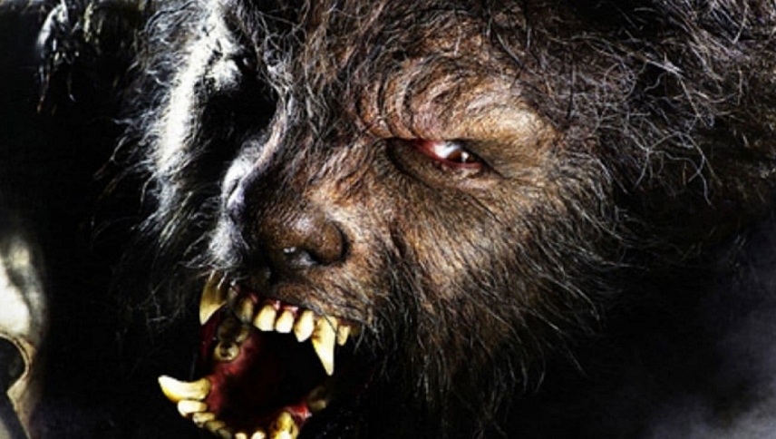 ადამიანი-მგელი / The Wolfman