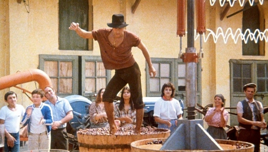 ჭირვეულის მორჯულება / The Taming of the Scoundrel