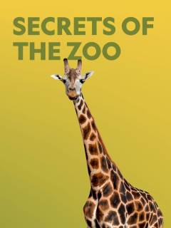 Secrets of the Zoo