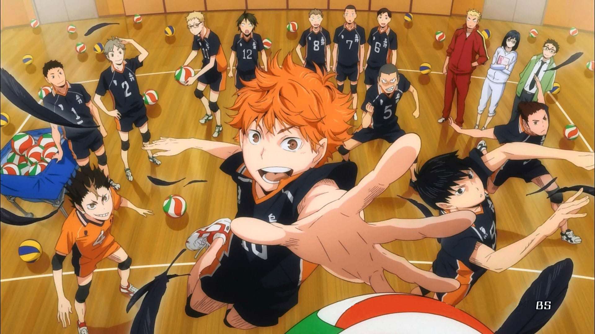 განაწილება / Haikyuu!!