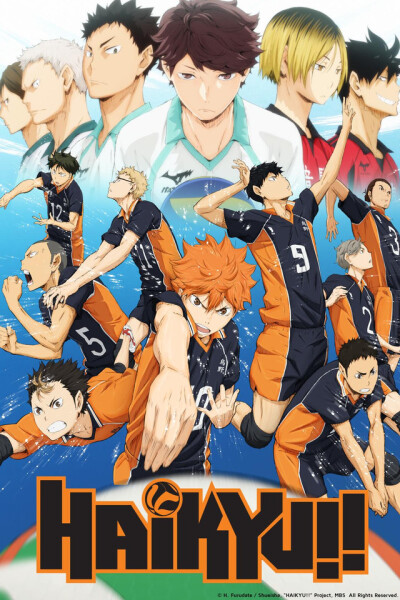 განაწილება / Haikyuu!!