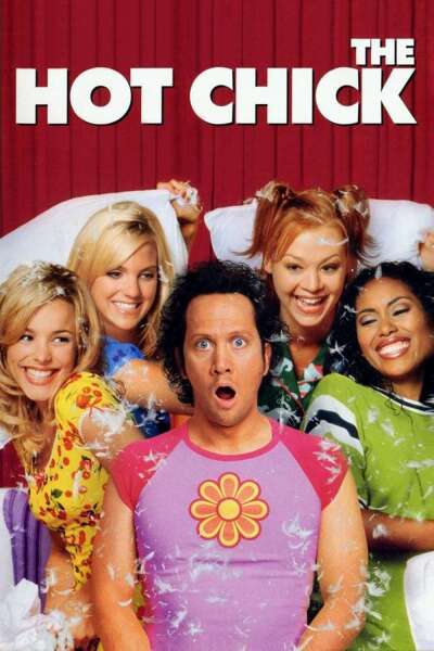 მაგარი გოგონა / The Hot Chick