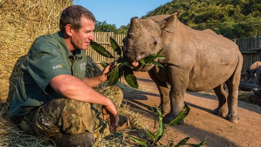 Wildlife Heroes