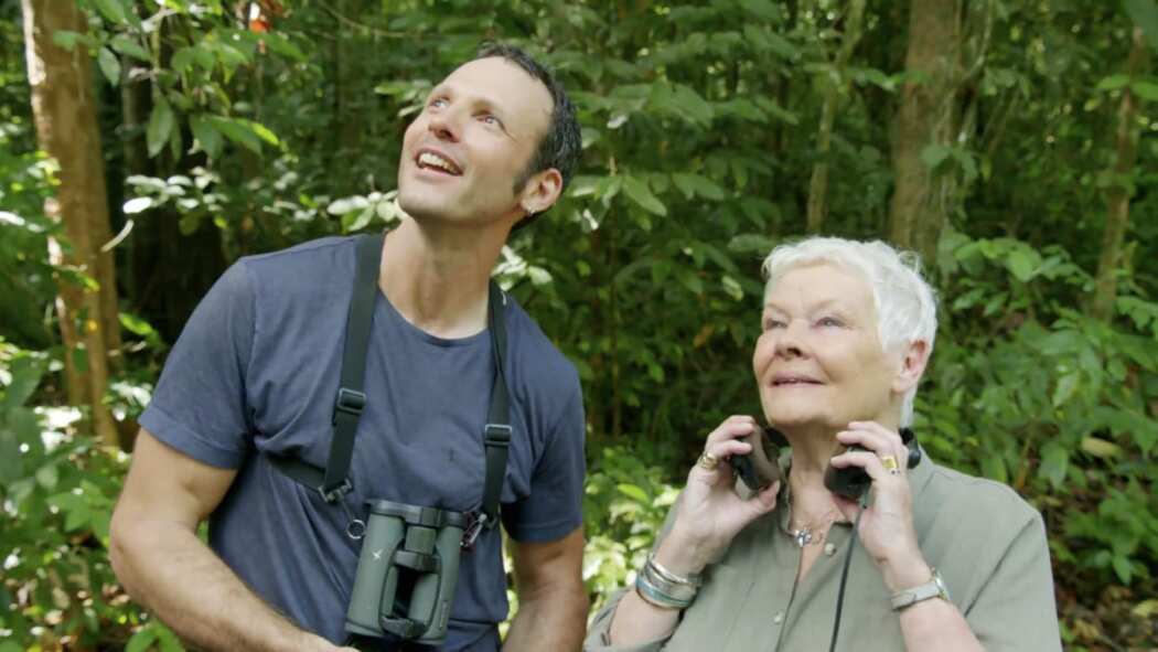 Judi Dench's Wild Borneo Adventure