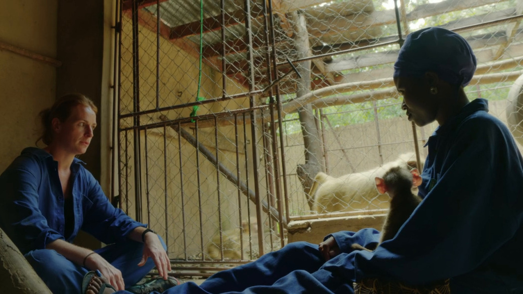 Malawi Wildlife Rescue