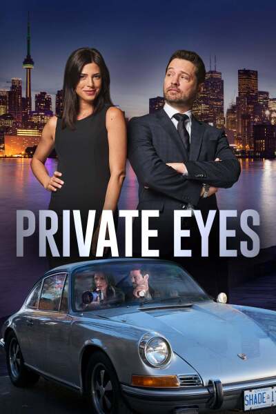 კერძო დეტექტივები / Private Eyes