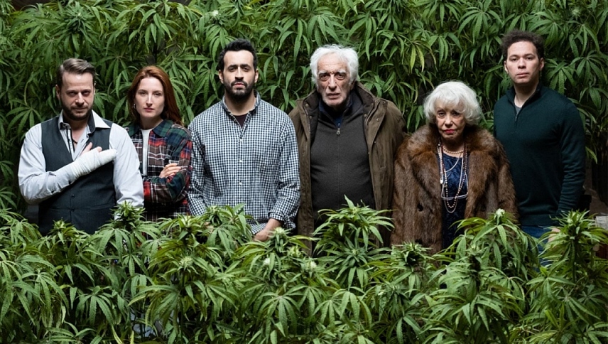 ოჯახური ბიზნესი / Family Business