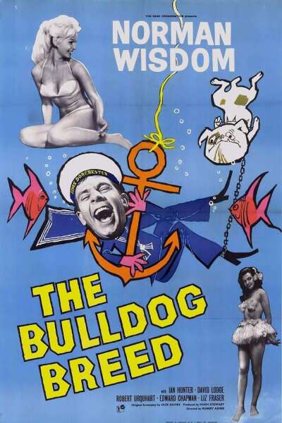 მისტერ პიტკინი- ბულდოგის ჯიში / The Bulldog Breed