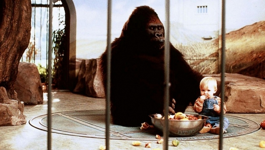 ჩვილის სეირნობა / Baby's Day Out