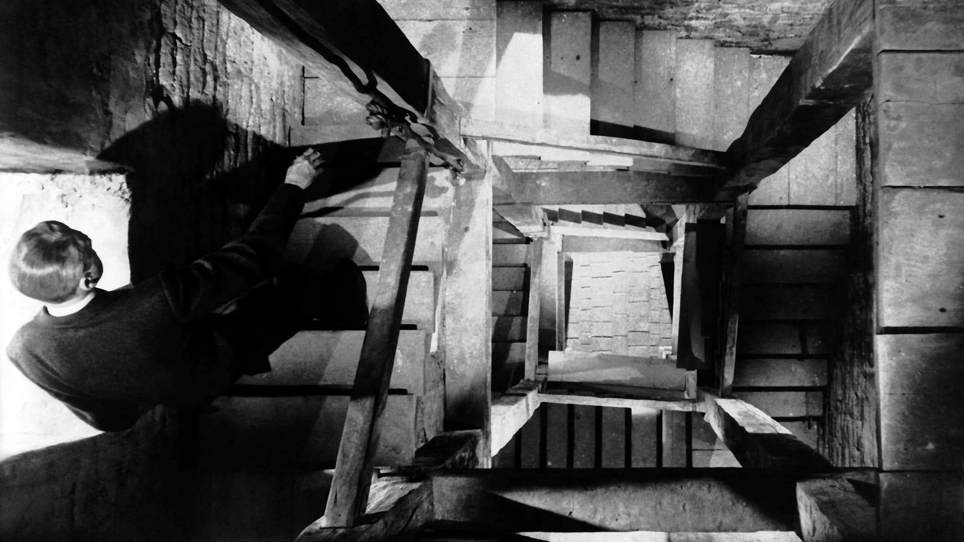 თავბრუსხვევა / Vertigo