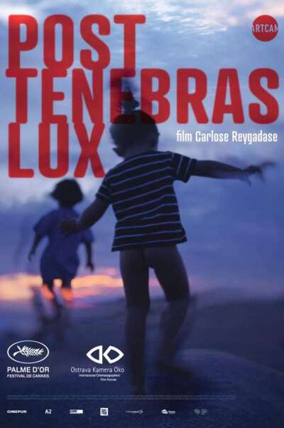 სინათლე წყვდიადის შემდეგ / Post Tenebras Lux