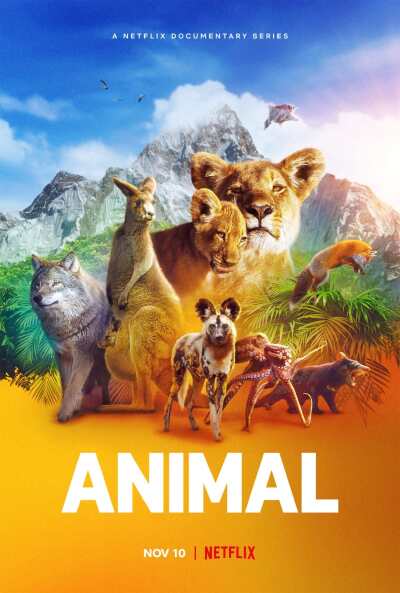 Animal / Удивительные животные