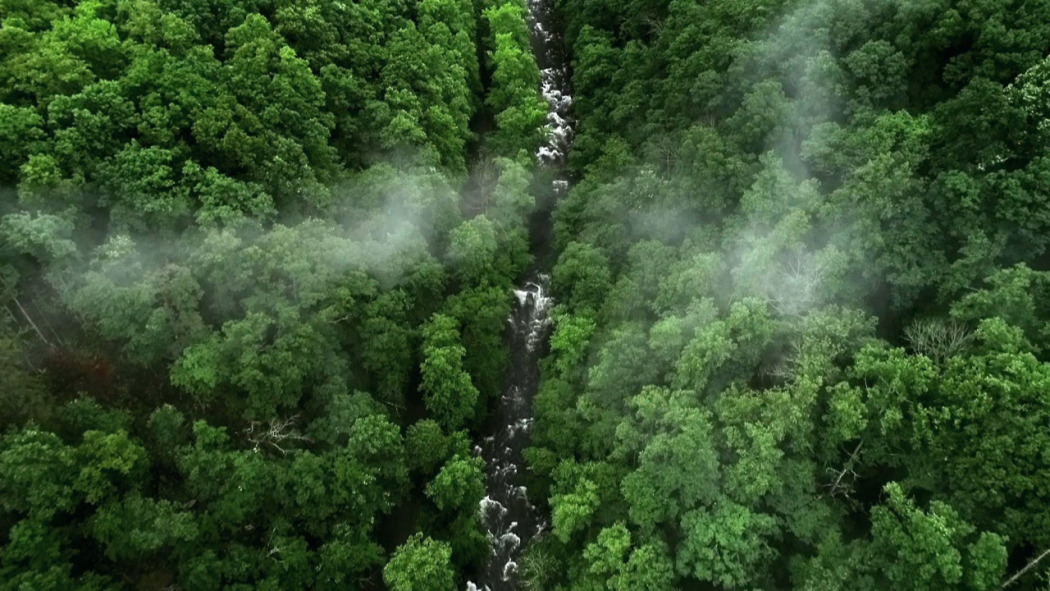 Rivers of Life