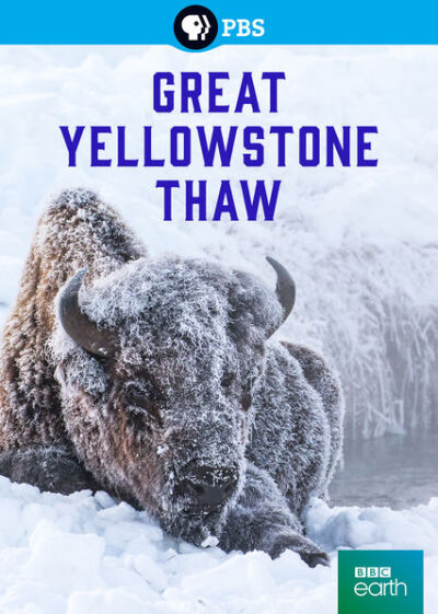 Great Yellowstone Thaw