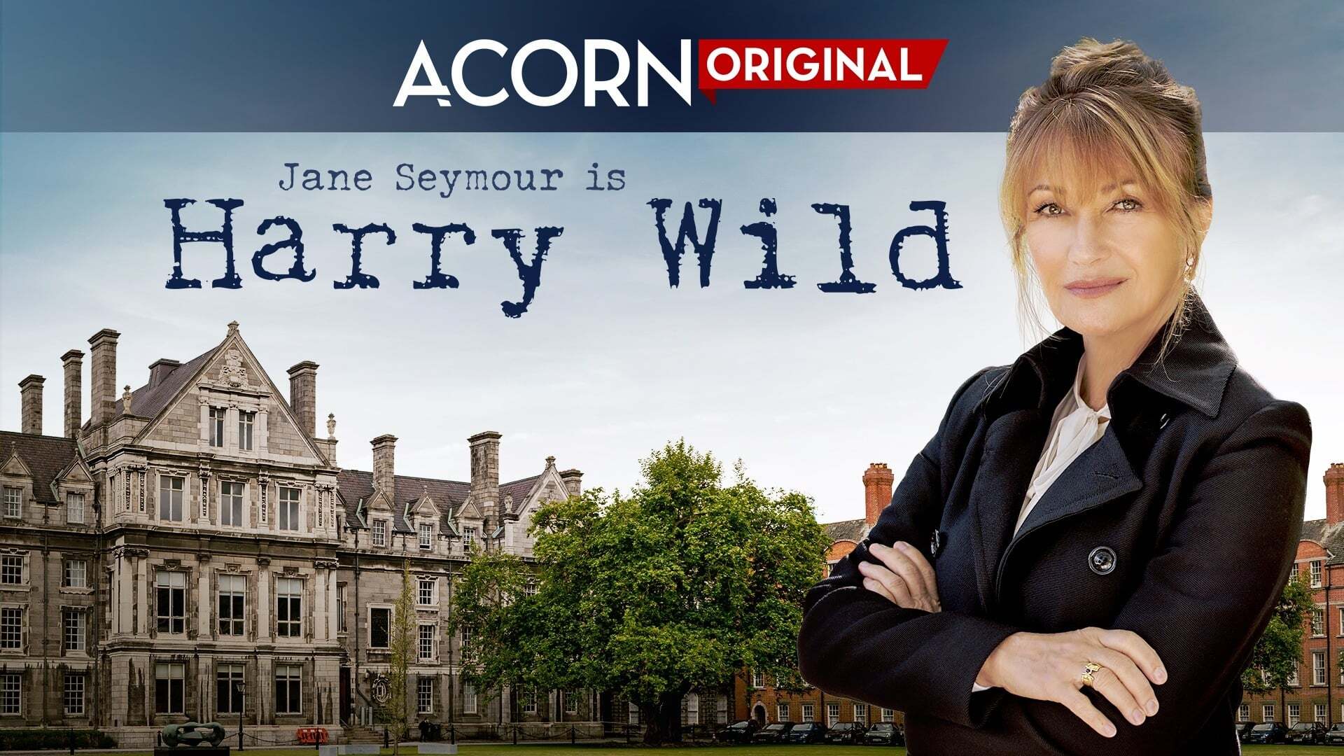 Harry Wild / Гарри Уайлд