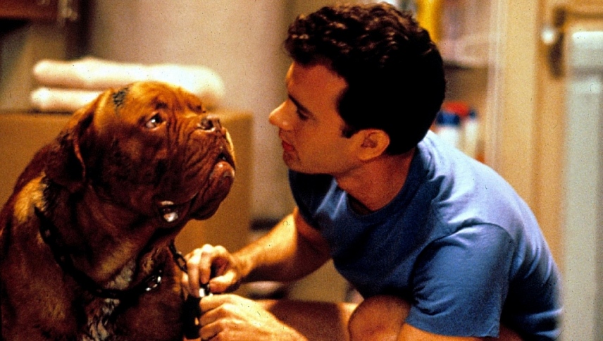 ტერნერი და ჰუჩი / Turner & Hooch
