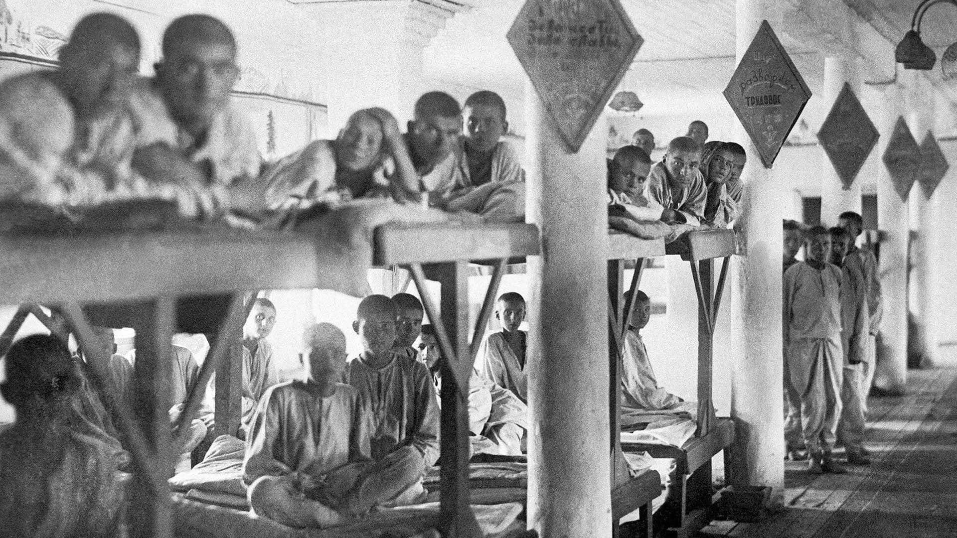 Gulag: The History