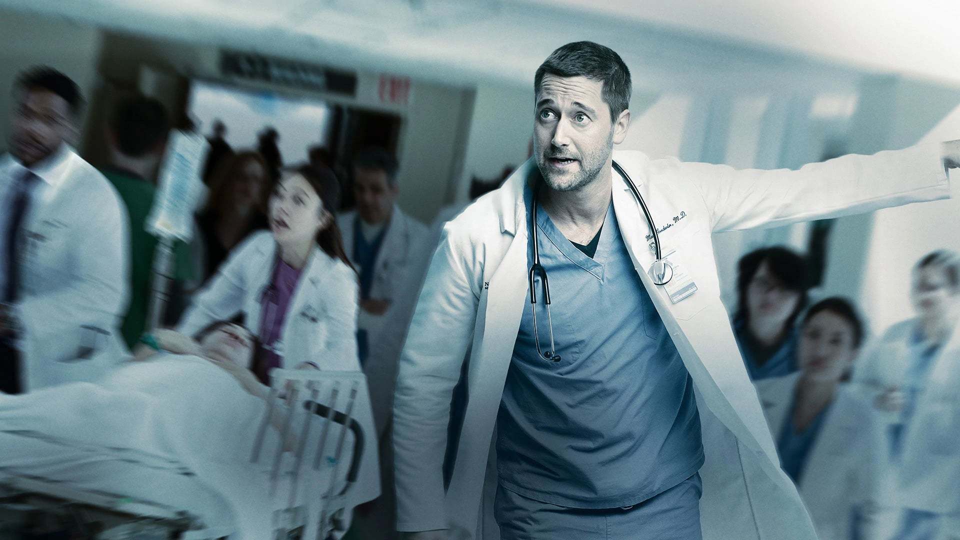 ახალი ამსტერდამი / New Amsterdam