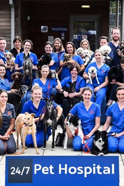 24/7 Pet Hospital