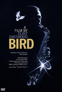 ჩიტი / Bird