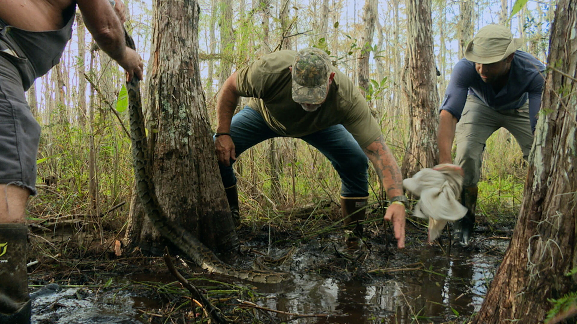Swamp People: Serpent Invasion