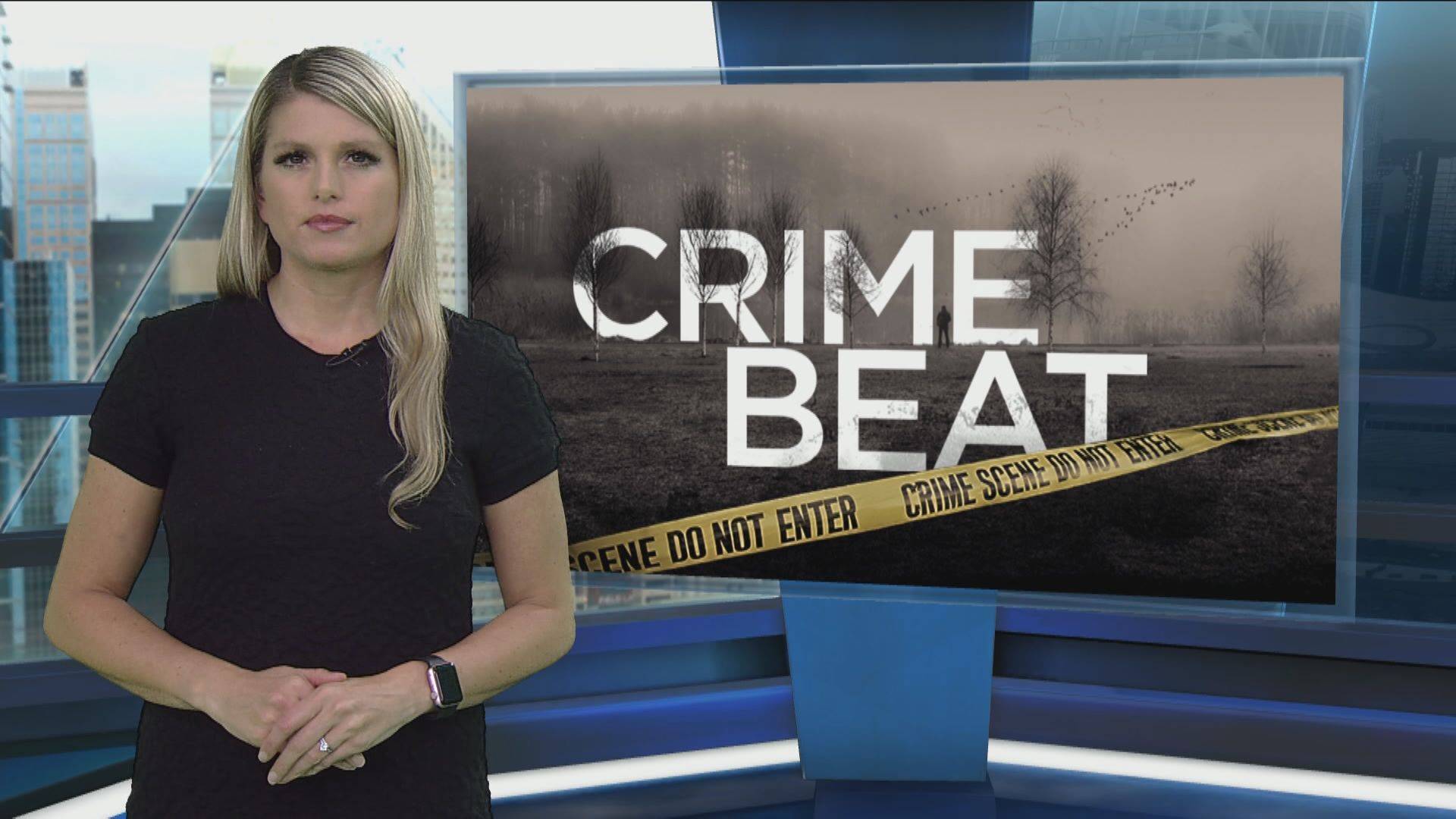 კრიმინალური მარცხი / Crime Beat
